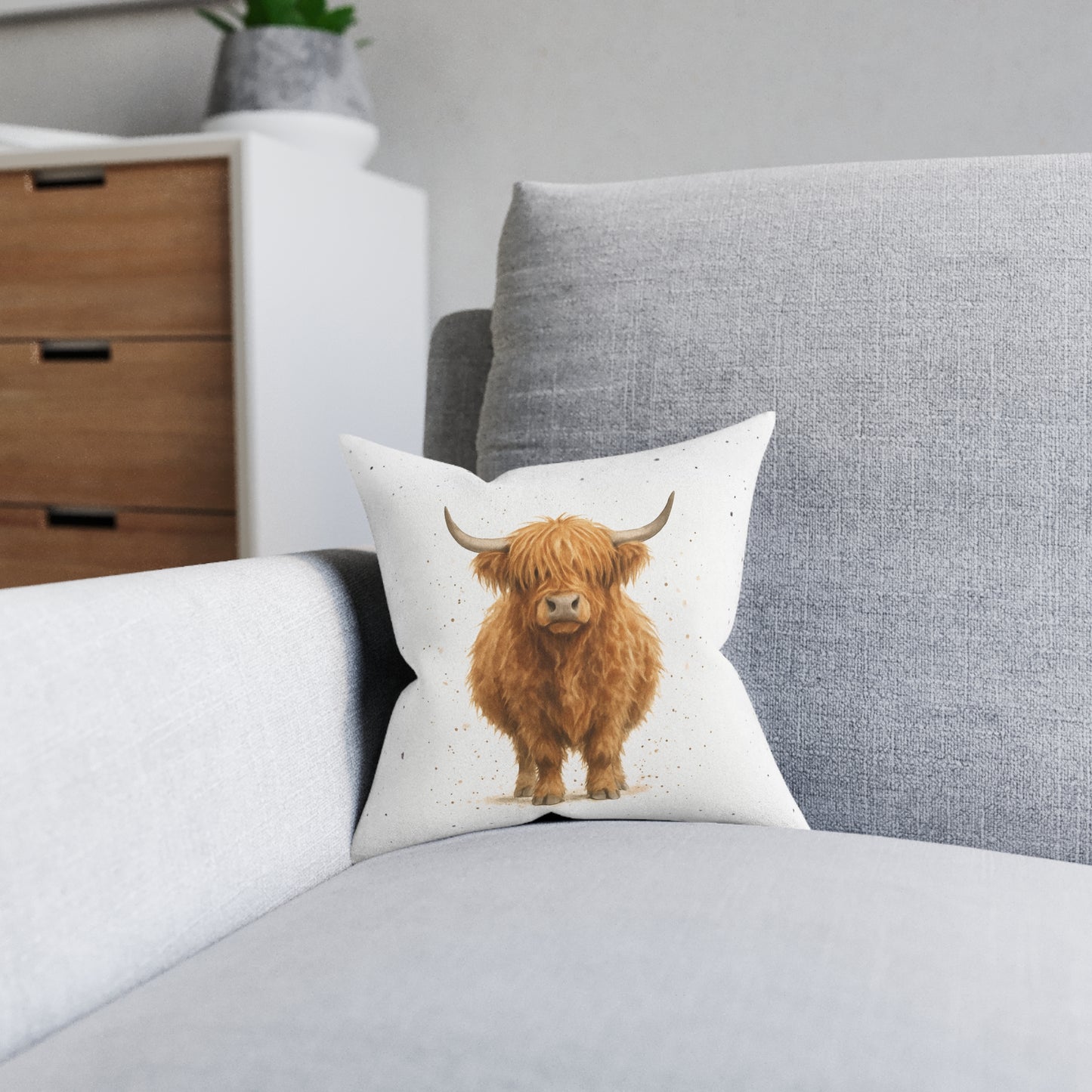 Lucy the Highland Cow